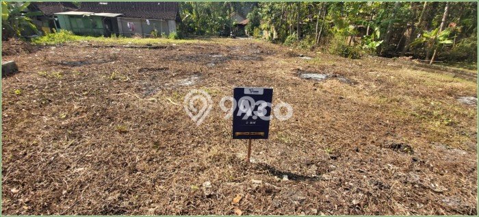 Tanah Investasi Dijual di Kulon Progo Punya Luas 9800m2 Tanah Investasi Dijual di Kulon Progo Punya Luas 9800m2