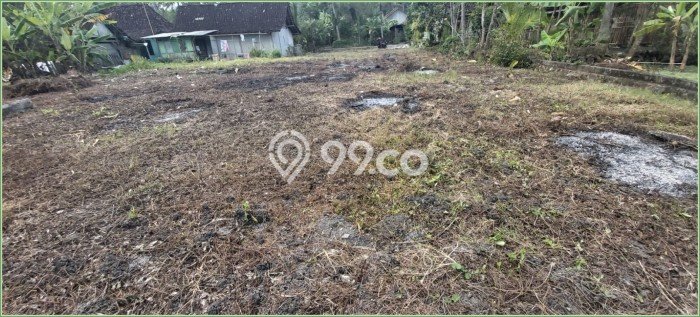 Tanah Investasi Dijual di Kulon Progo Punya Luas 9800m2 Tanah Investasi Dijual di Kulon Progo Punya Luas 9800m2