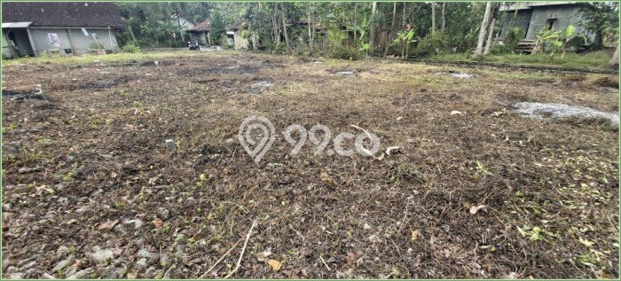 Tanah Investasi Dijual di Kulon Progo Punya Luas 9800m2 Tanah Investasi Dijual di Kulon Progo Punya Luas 9800m2
