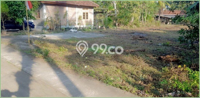 Tanah Investasi Dijual di Kulon Progo Punya Luas 9800m2 Tanah Investasi Dijual di Kulon Progo Punya Luas 9800m2