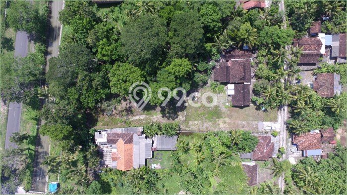 Untuk Dijual Tanah di Kulon Progo, Luas 9800m2 SHM Untuk Dijual Tanah di Kulon Progo, Luas 9800m2 SHM