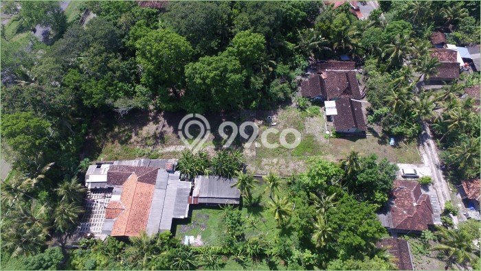 Untuk Dijual Tanah di Kulon Progo, Luas 9800m2 SHM Untuk Dijual Tanah di Kulon Progo, Luas 9800m2 SHM