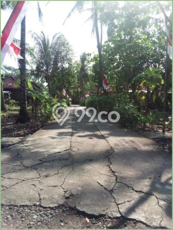 Untuk Dijual Tanah di Kulon Progo, Luas 9800m2 SHM Untuk Dijual Tanah di Kulon Progo, Luas 9800m2 SHM