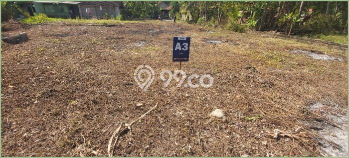 Untuk Dijual Tanah di Kulon Progo, Luas 9800m2 SHM Untuk Dijual Tanah di Kulon Progo, Luas 9800m2 SHM