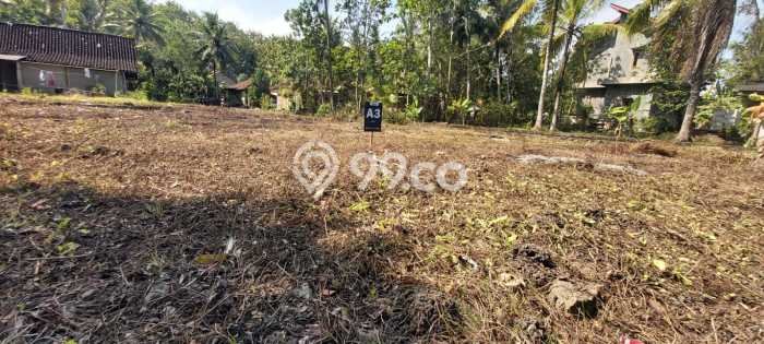 Dijual Tanah di Kulon Progo, Luas 9800m2 SHM Dijual Tanah di Kulon Progo, Luas 9800m2 SHM