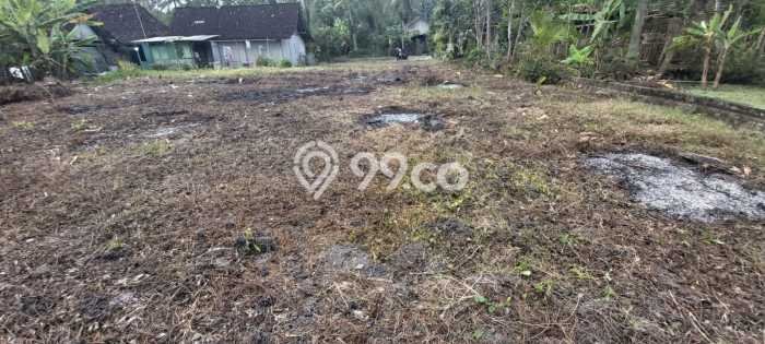 Untuk Dijual Tanah 9800m2 di Kulonprogo, Yogyakarta Untuk Dijual Tanah 9800m2 di Kulonprogo, Yogyakarta