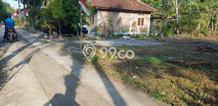 Untuk Dijual Tanah 9800m2 di Kulonprogo, Yogyakarta Untuk Dijual Tanah 9800m2 di Kulonprogo, Yogyakarta