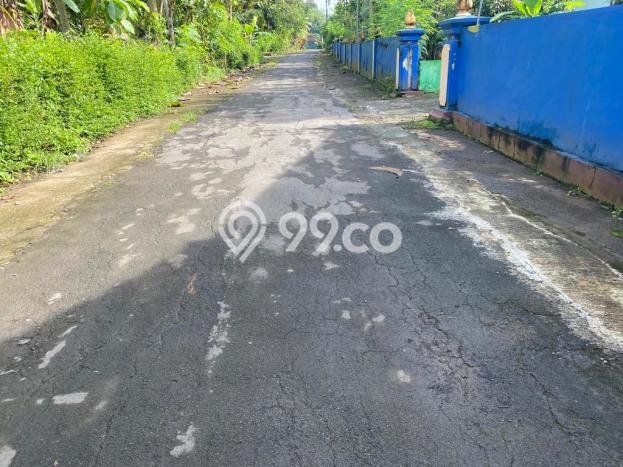 Jarang Ada! Tanah di Moyudan Punya Luas 191m2 SHM Jarang Ada! Tanah di Moyudan Punya Luas 191m2 SHM