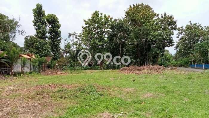 Jarang Ada! Tanah di Moyudan Punya Luas 191m2 SHM Jarang Ada! Tanah di Moyudan Punya Luas 191m2 SHM