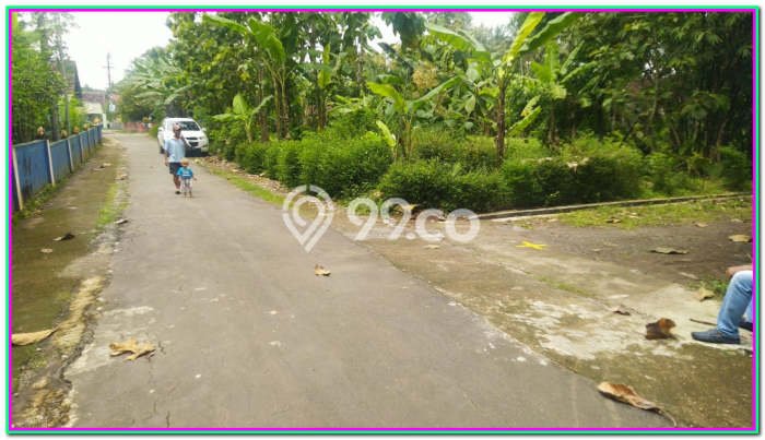 Kavling Tanah Dijual di Moyudan Sleman Spesifikasi 19100m2 Kavling Tanah Dijual di Moyudan Sleman Spesifikasi 19100m2