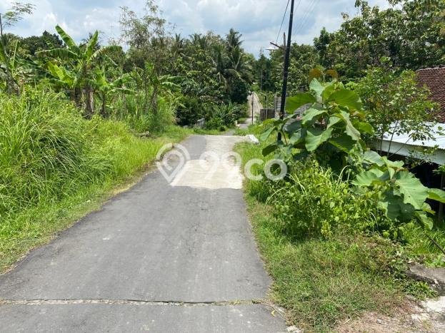 Jarang Ada! Tanah di Sleman Punya Luas 90m2 SHM Jarang Ada! Tanah di Sleman Punya Luas 90m2 SHM