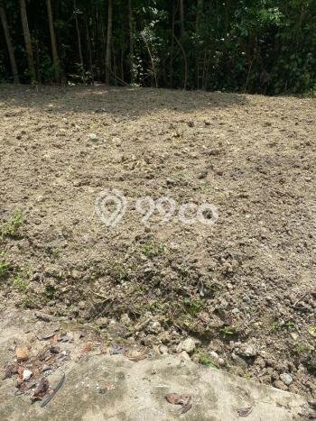 Kavling Tanah Dijual di Sleman Sleman Spesifikasi 90m2 Kavling Tanah Dijual di Sleman Sleman Spesifikasi 90m2