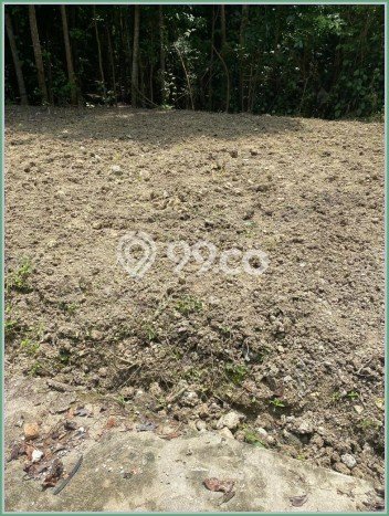 Untuk Dijual Tanah di Sleman Sleman Luas 90m2 SHM Untuk Dijual Tanah di Sleman Sleman Luas 90m2 SHM