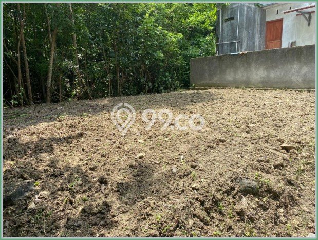 Untuk Dijual Tanah di Sleman Sleman Luas 90m2 SHM Untuk Dijual Tanah di Sleman Sleman Luas 90m2 SHM