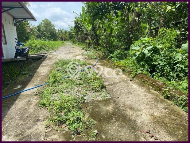 Tanah Dijual Lokasi Sleman, Sleman dengan Luas Tanah 90m2 dan Status SHM Tanah Dijual Lokasi Sleman, Sleman dengan Luas Tanah 90m2 dan Status SHM