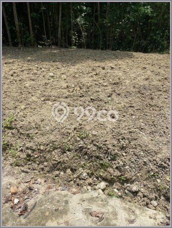 Tanah Dijual Lokasi Sleman, Sleman Luas 90m2 Legalitas Aman Tanah Dijual Lokasi Sleman, Sleman Luas 90m2 Legalitas Aman