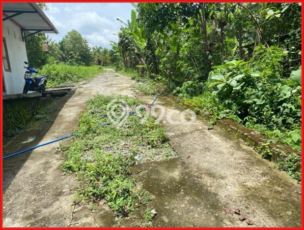 Tanah Strategis Dijual di Sleman Sleman 90m2 Tanah Strategis Dijual di Sleman Sleman 90m2