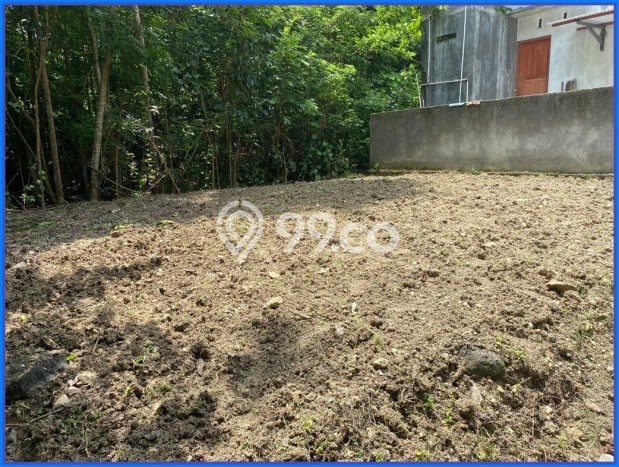 Tanah Dijual Lokasi Sleman Sleman SHM Tanah Dijual Lokasi Sleman Sleman SHM