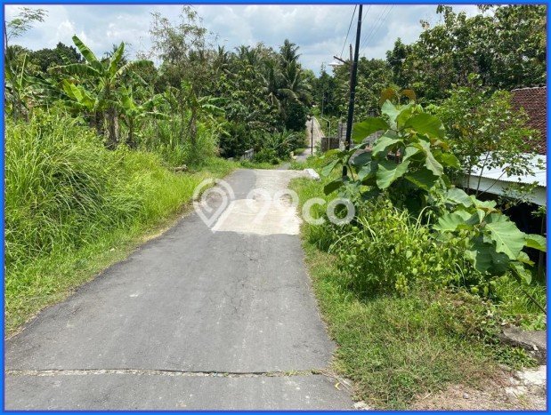 Tanah Dijual Lokasi Sleman Sleman SHM Tanah Dijual Lokasi Sleman Sleman SHM