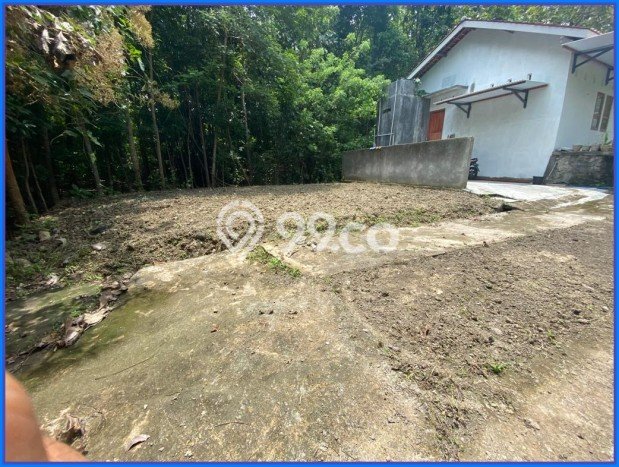 Tanah Dijual Lokasi Sleman Sleman SHM Tanah Dijual Lokasi Sleman Sleman SHM