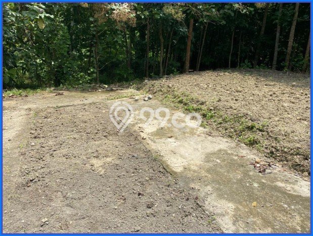 Tanah Dijual Lokasi Sleman Sleman SHM Tanah Dijual Lokasi Sleman Sleman SHM
