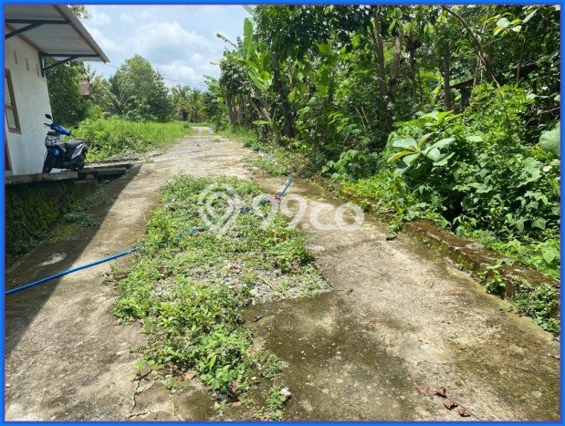 Tanah Dijual Lokasi Sleman Sleman SHM Tanah Dijual Lokasi Sleman Sleman SHM