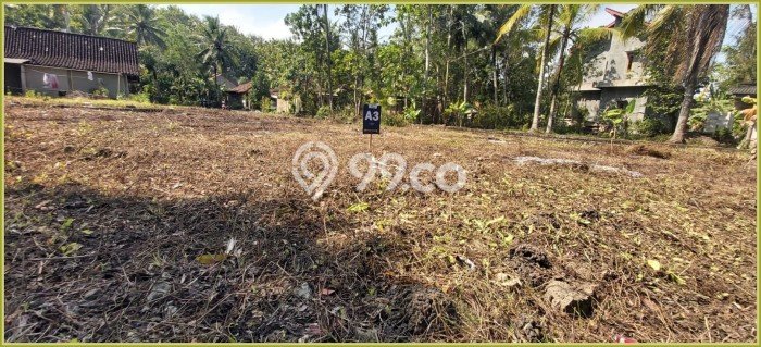 Tanah Kawasan Kulonprogo, Luas 98m², Akses Kulonprogo, Kulon Progo, Kulon Progo Tanah Kawasan Kulonprogo, Luas 98m², Akses Kulonprogo, Kulon Progo, Kulon Progo