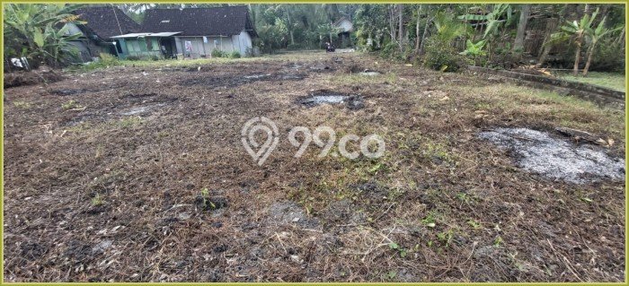 Tanah Kawasan Kulonprogo, Luas 98m², Akses Kulonprogo, Kulon Progo, Kulon Progo Tanah Kawasan Kulonprogo, Luas 98m², Akses Kulonprogo, Kulon Progo, Kulon Progo
