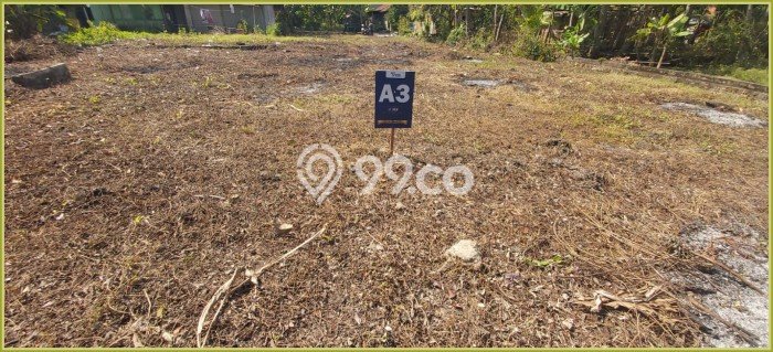 Tanah Bisnis Kawasan Kulonprogo, Luas 98m², Akses Mudah Tanah Bisnis Kawasan Kulonprogo, Luas 98m², Akses Mudah