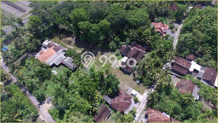Tanah Bisnis Kawasan Kulonprogo, Luas 98m², Akses Mudah Tanah Bisnis Kawasan Kulonprogo, Luas 98m², Akses Mudah