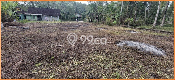 Tanah Area Berkembang di Kulonprogo, Luas 98m², Dekat ke Fasilitas, Lingkungan Asri Tanah Area Berkembang di Kulonprogo, Luas 98m², Dekat ke Fasilitas, Lingkungan Asri