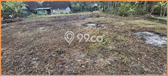 Tanah Area Berkembang di Kulonprogo, Luas 98m², Dekat ke Fasilitas, Lingkungan Asri Tanah Area Berkembang di Kulonprogo, Luas 98m², Dekat ke Fasilitas, Lingkungan Asri