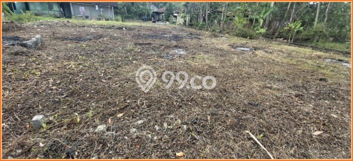 Tanah Area Berkembang di Kulonprogo, Luas 98m², Dekat ke Fasilitas, Lingkungan Asri Tanah Area Berkembang di Kulonprogo, Luas 98m², Dekat ke Fasilitas, Lingkungan Asri