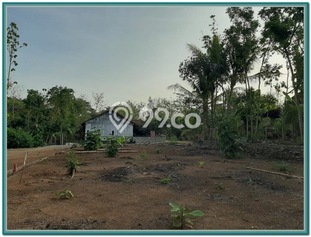 Tanah Dijual Lokasi Godean Sleman SHM Tanah Dijual Lokasi Godean Sleman SHM