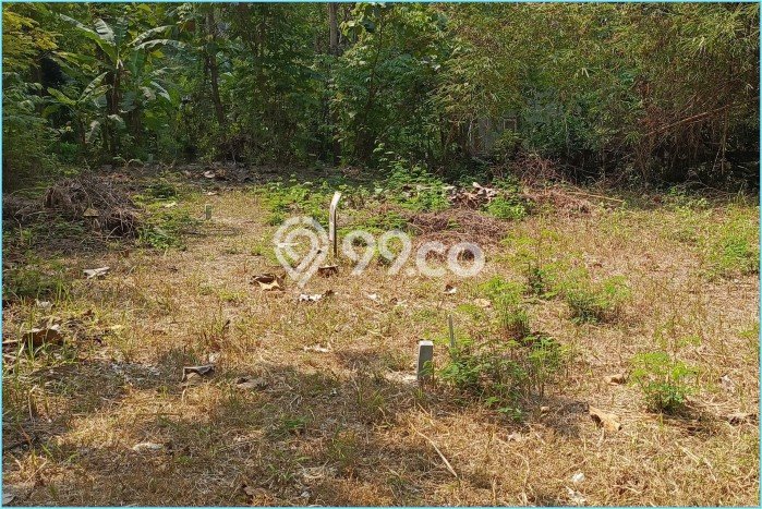Dijual Tanah di Kasihan Bantul Luas 160m2 SHM Dijual Tanah di Kasihan Bantul Luas 160m2 SHM