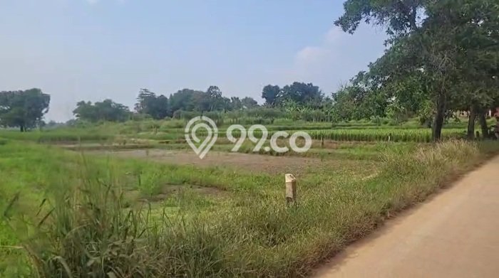Tanah untuk Dijual Lokasi Subang, Subang Luas 220000m2 SHM Tanah untuk Dijual Lokasi Subang, Subang Luas 220000m2 SHM