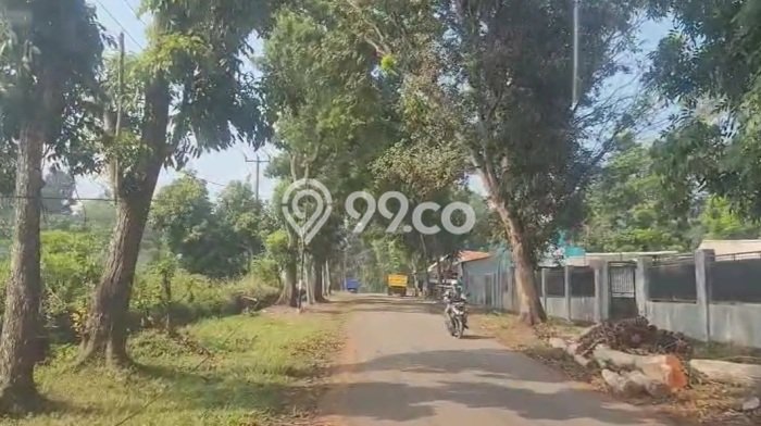 Tanah untuk Dijual Lokasi Subang, Subang Luas 220000m2 SHM Tanah untuk Dijual Lokasi Subang, Subang Luas 220000m2 SHM