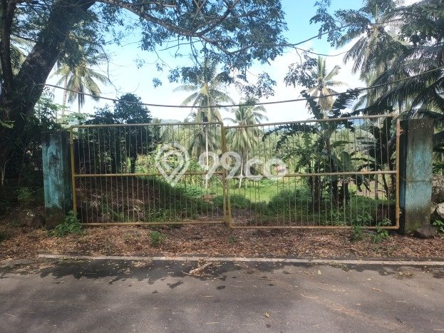 Lahan untuk Dijual di Mapanget Manado Luas 120000m2 Lahan untuk Dijual di Mapanget Manado Luas 120000m2