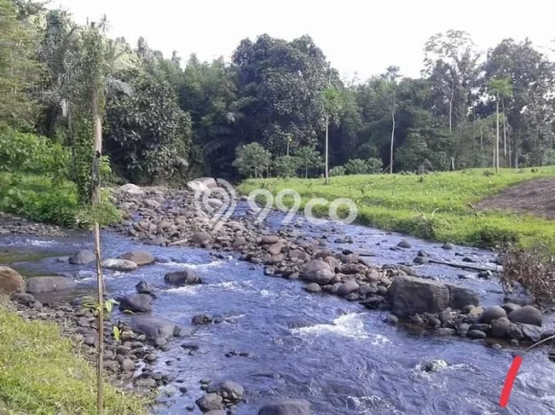 Tanah untuk Dijual di Likupang Timur Minahasa Utara Luas 750000m2 Tanah untuk Dijual di Likupang Timur Minahasa Utara Luas 750000m2