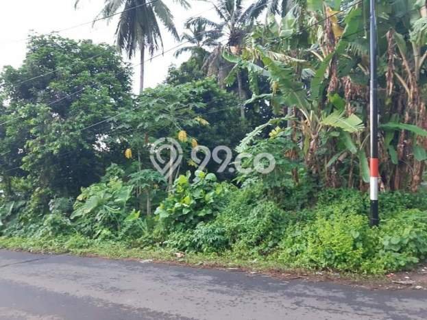 Lahan untuk Dijual Lokasi Mapanget, Manado Luas 70000m2 SHM Lahan untuk Dijual Lokasi Mapanget, Manado Luas 70000m2 SHM