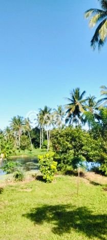 Lahan untuk Dijual Lokasi Mapanget, Manado Luas 70000m2 SHM Lahan untuk Dijual Lokasi Mapanget, Manado Luas 70000m2 SHM