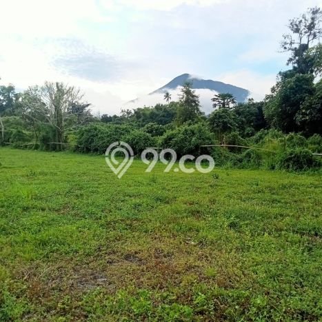 Lahan untuk Dijual Lokasi Kauditan, Minahasa Utara Luas 22000m2 SHM Lahan untuk Dijual Lokasi Kauditan, Minahasa Utara Luas 22000m2 SHM