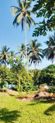 Lahan untuk Dijual Lokasi Mapanget, Manado Luas 70000m2 SHM Lahan untuk Dijual Lokasi Mapanget, Manado Luas 70000m2 SHM