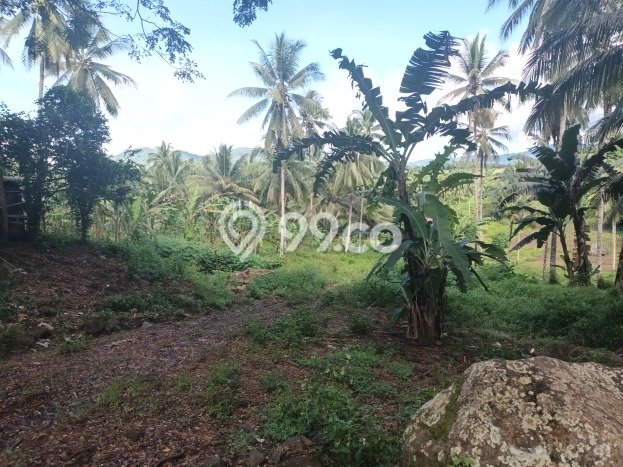 Lahan untuk Dijual di Mapanget Manado Luas 120000m2 Lahan untuk Dijual di Mapanget Manado Luas 120000m2