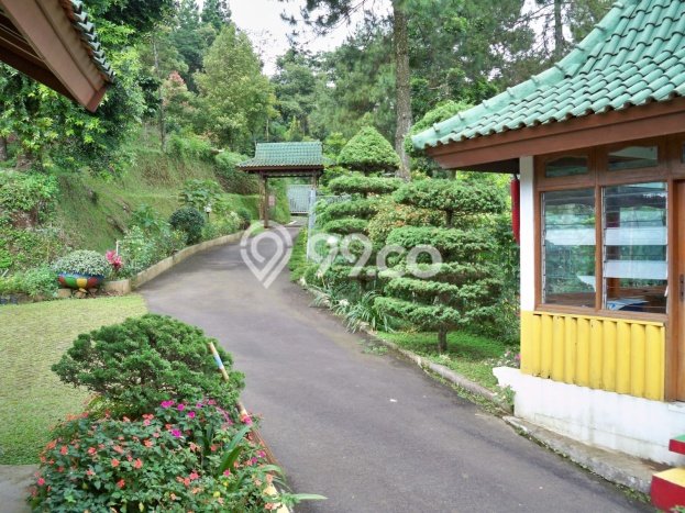 AREA PREMIUM! Vila Kawasan Megamendung, Dimensi 7693m2m², Pemandangan Indah di area AREA PREMIUM! Vila Kawasan Megamendung, Dimensi 7693m2m², Pemandangan Indah di area
