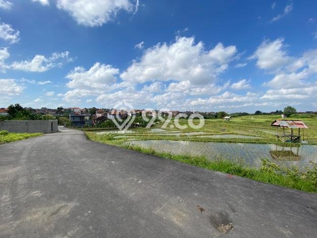Untuk Dijual Tanah 309m2 di Canggu, Badung Untuk Dijual Tanah 309m2 di Canggu, Badung