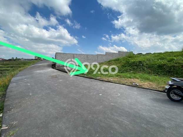 Untuk Dijual Tanah 309m2 di Canggu, Badung Untuk Dijual Tanah 309m2 di Canggu, Badung