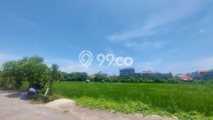 Rumah Minimalis 3 KT LT 127m2 di Pedungan Rumah Minimalis 3 KT LT 127m2 di Pedungan