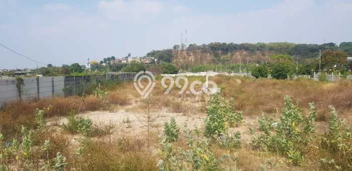 Kavling Tanah Lokasi Strategis di Tugu, Semarang Disewakan 2300m2 Kavling Tanah Lokasi Strategis di Tugu, Semarang Disewakan 2300m2
