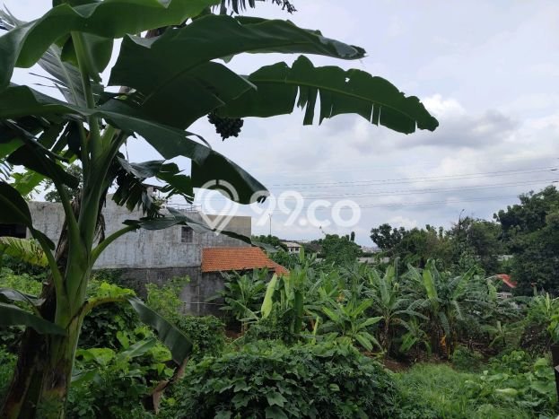 Tanah untuk Dijual di Semarang Barat Semarang Luas 1094m2 Tanah untuk Dijual di Semarang Barat Semarang Luas 1094m2